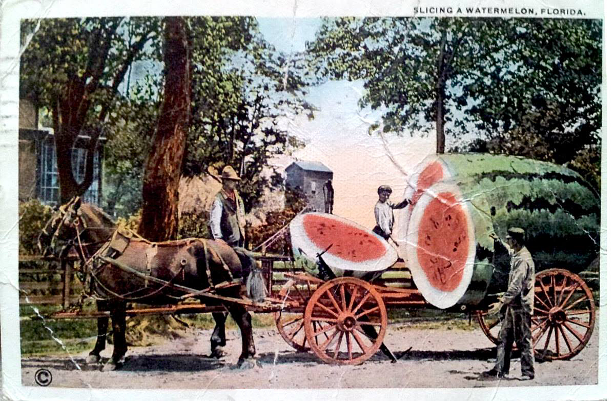 Mme Pastèque Mme Pastèque