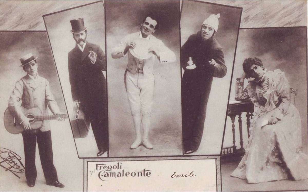 Métamorphoses – Transformisme et mimétisme