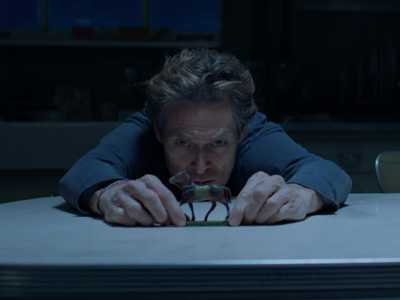 « Apprends à mourir ! »