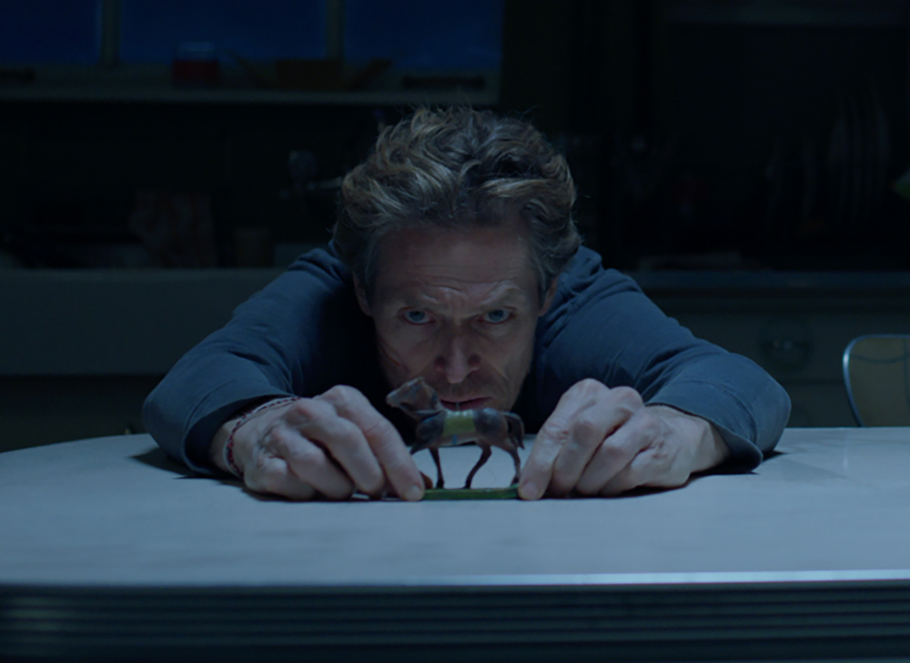 « Apprends à mourir ! » « Apprends à mourir ! »